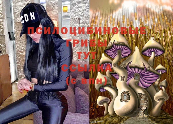 винт Алексеевка