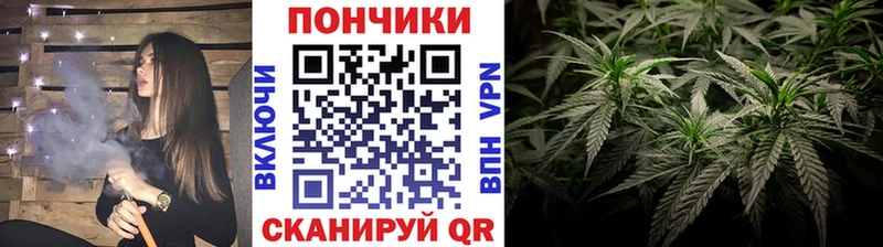 Канабис ГИДРОПОН  Купить закладки  Карабулак 